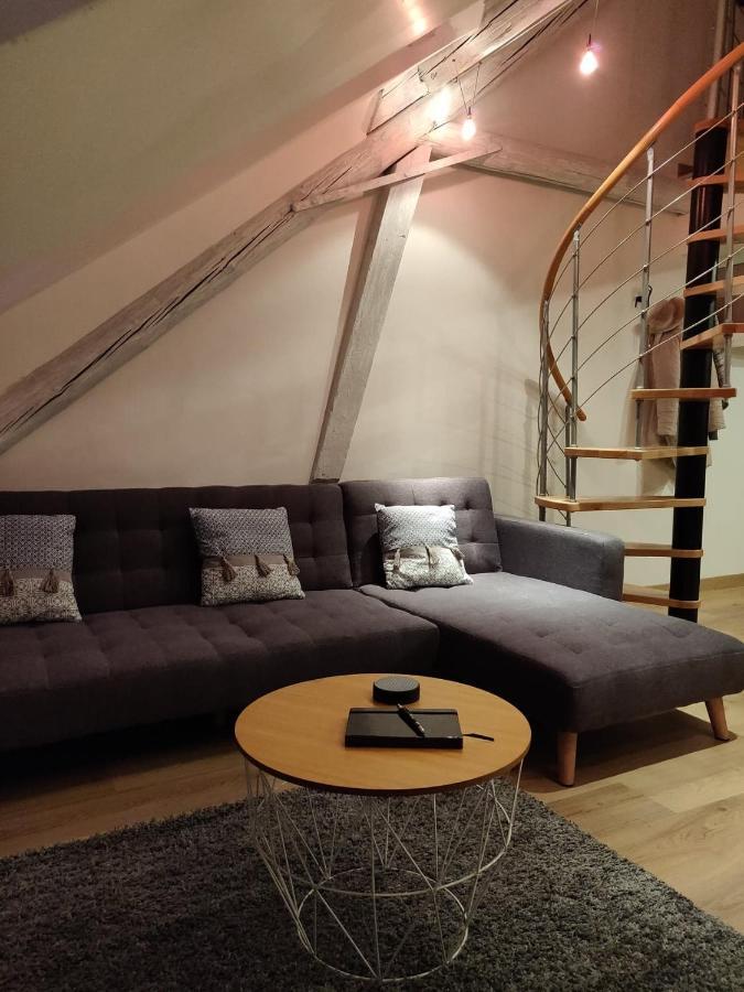 شقة Le Business, Duplex Moderne Special Pro De Passage ساريجومين المظهر الخارجي الصورة