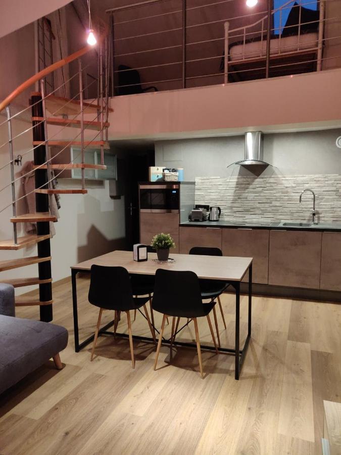 شقة Le Business, Duplex Moderne Special Pro De Passage ساريجومين المظهر الخارجي الصورة