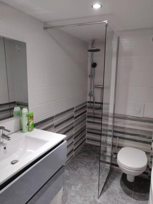 شقة Le Business, Duplex Moderne Special Pro De Passage ساريجومين المظهر الخارجي الصورة