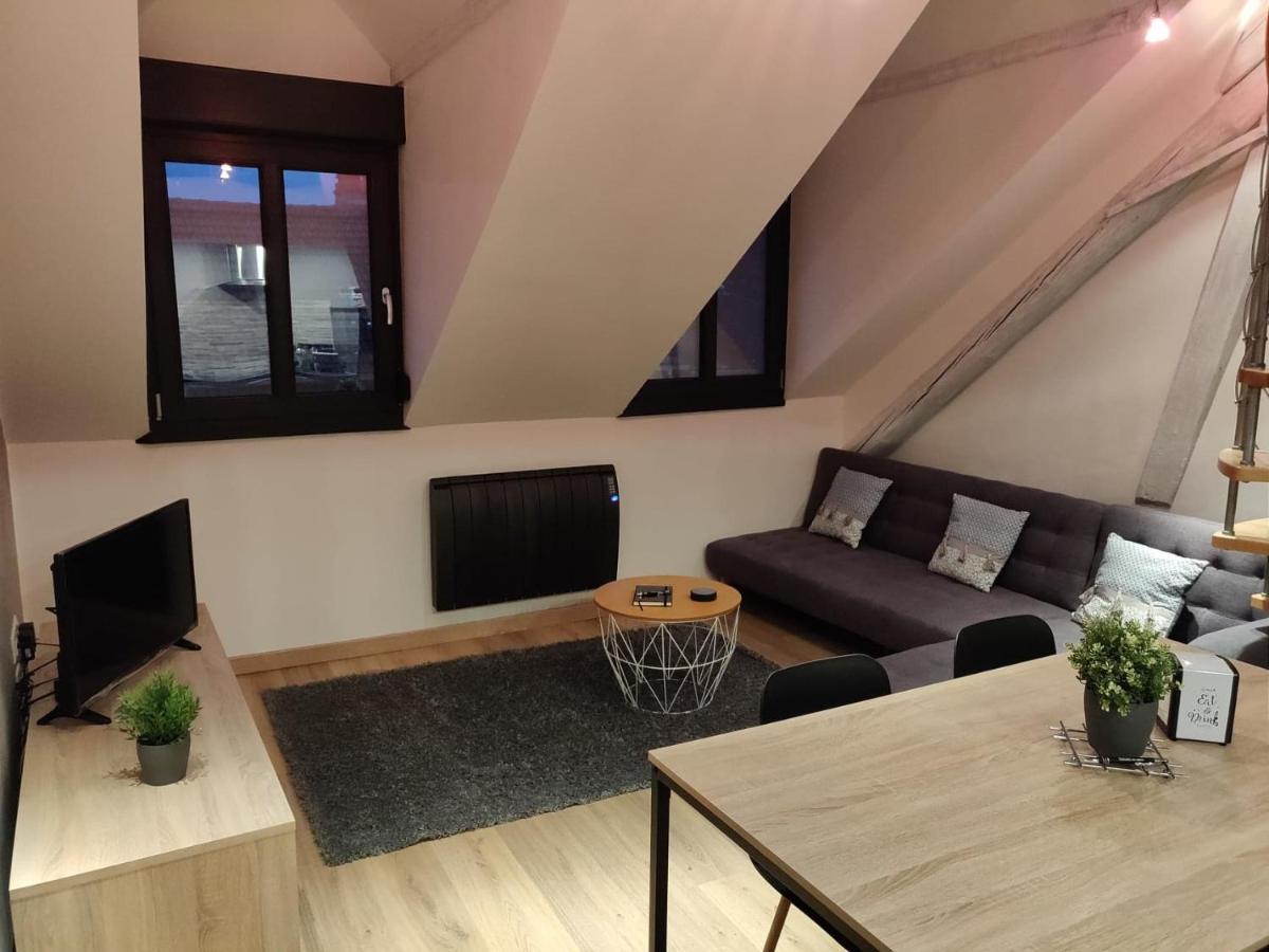 شقة Le Business, Duplex Moderne Special Pro De Passage ساريجومين المظهر الخارجي الصورة